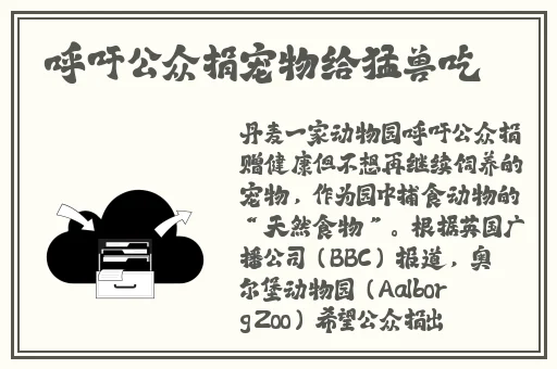 国产精品精华液一区二区三区